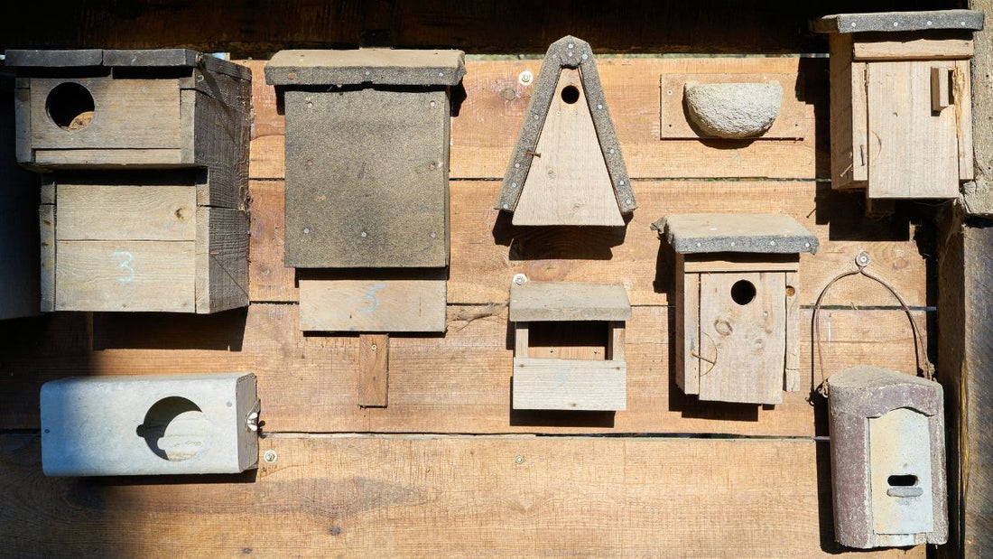 types of nest box