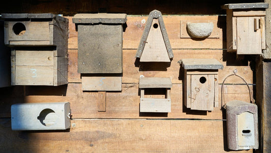types of nest box